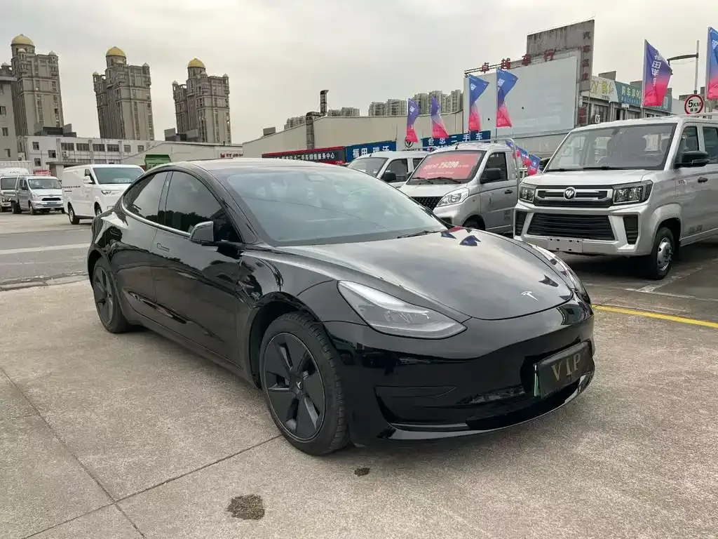 Tesla Model 3 2021 из CN, фото 2