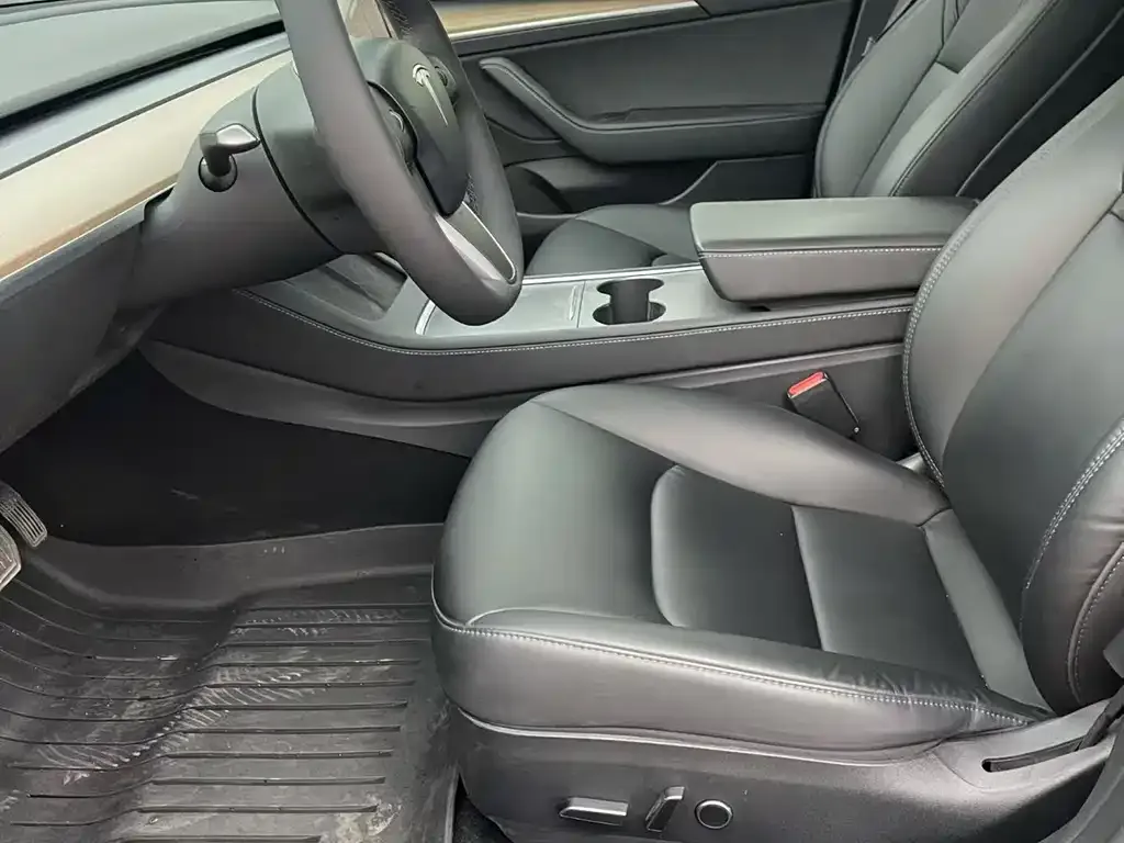 Tesla Model 3 2021 из CN, фото 4