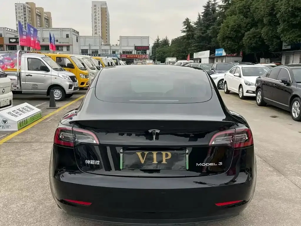 Tesla Model 3 2021 из CN, фото 3