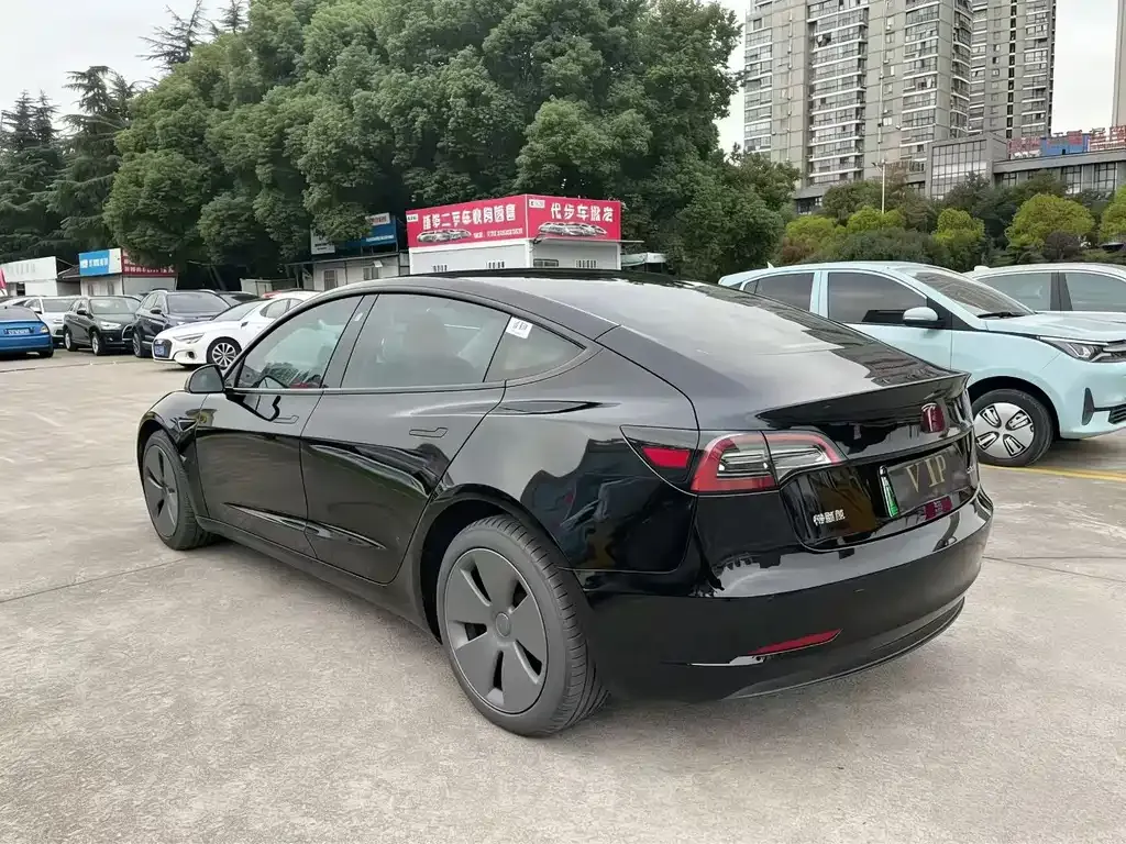 Tesla Model 3 2021 из CN, фото 8