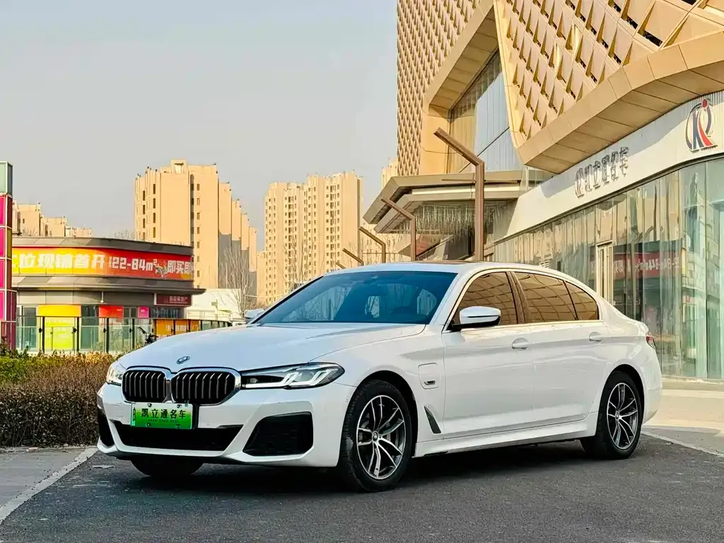 BMW 5 Series New Energy 2022 из CN, фото 1
