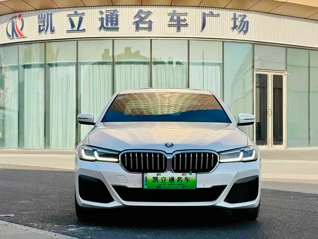 BMW 5 Series New Energy 2022 из CN, фото 3