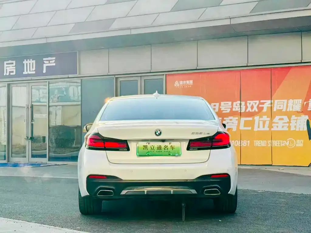 BMW 5 Series New Energy 2022 из CN, фото 6