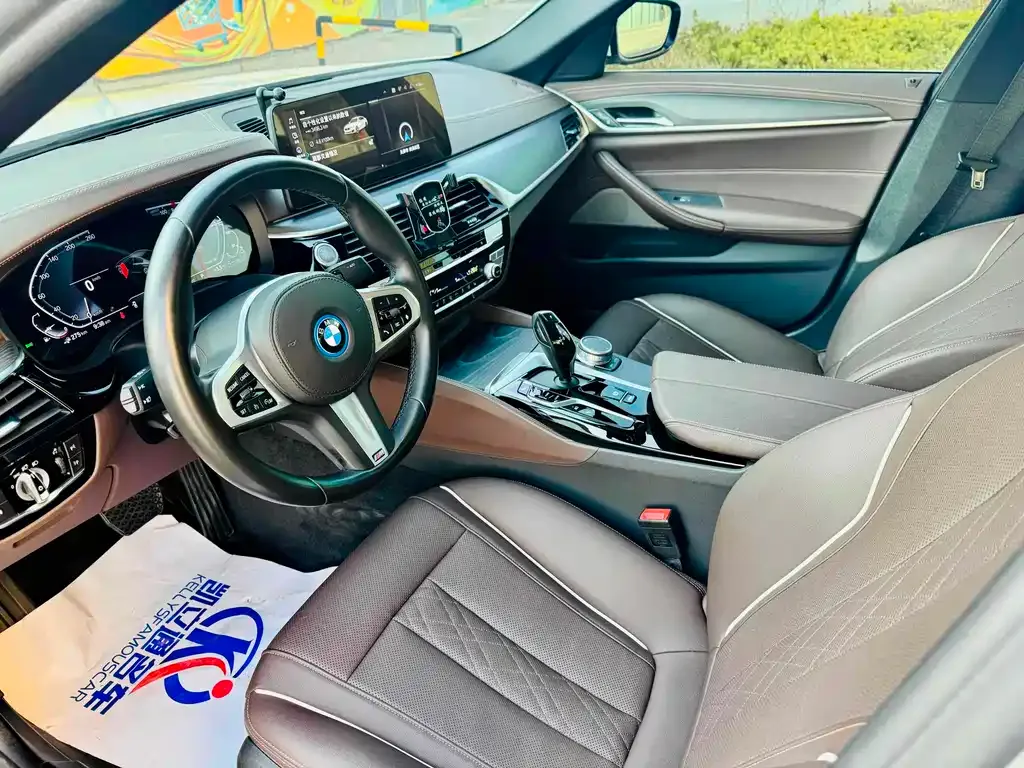 BMW 5 Series New Energy 2022 из CN, фото 10