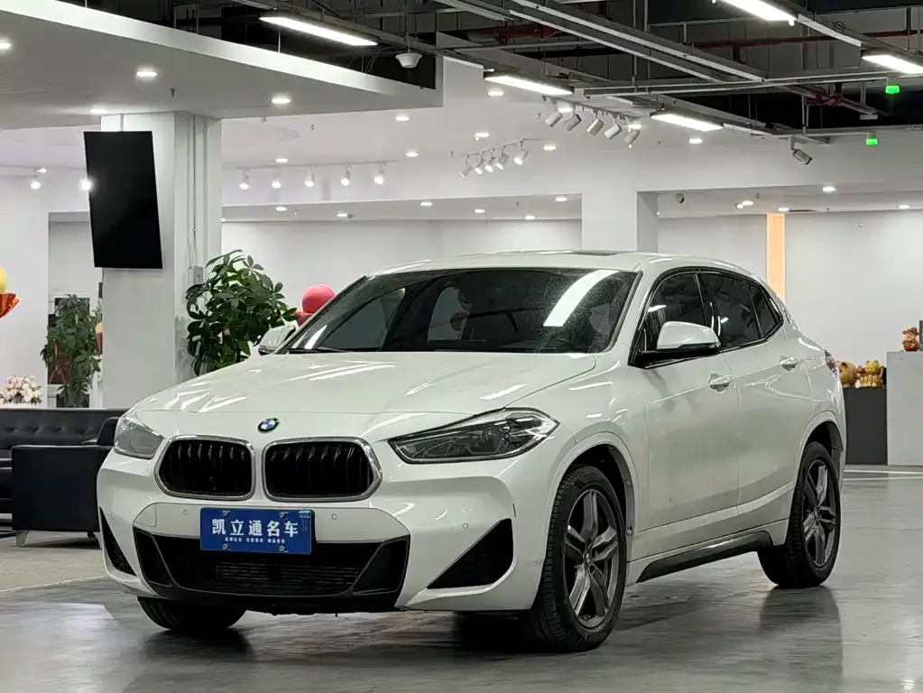 BMW X2 2022 из CN, фото 1