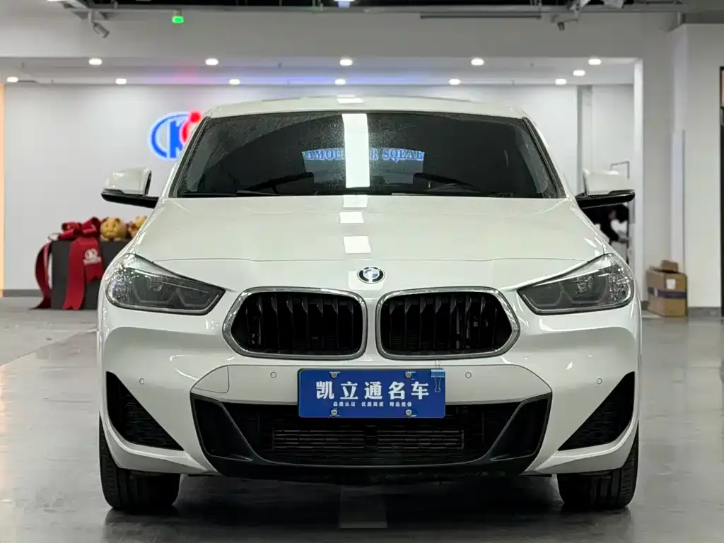 BMW X2 2022 из CN, фото 2