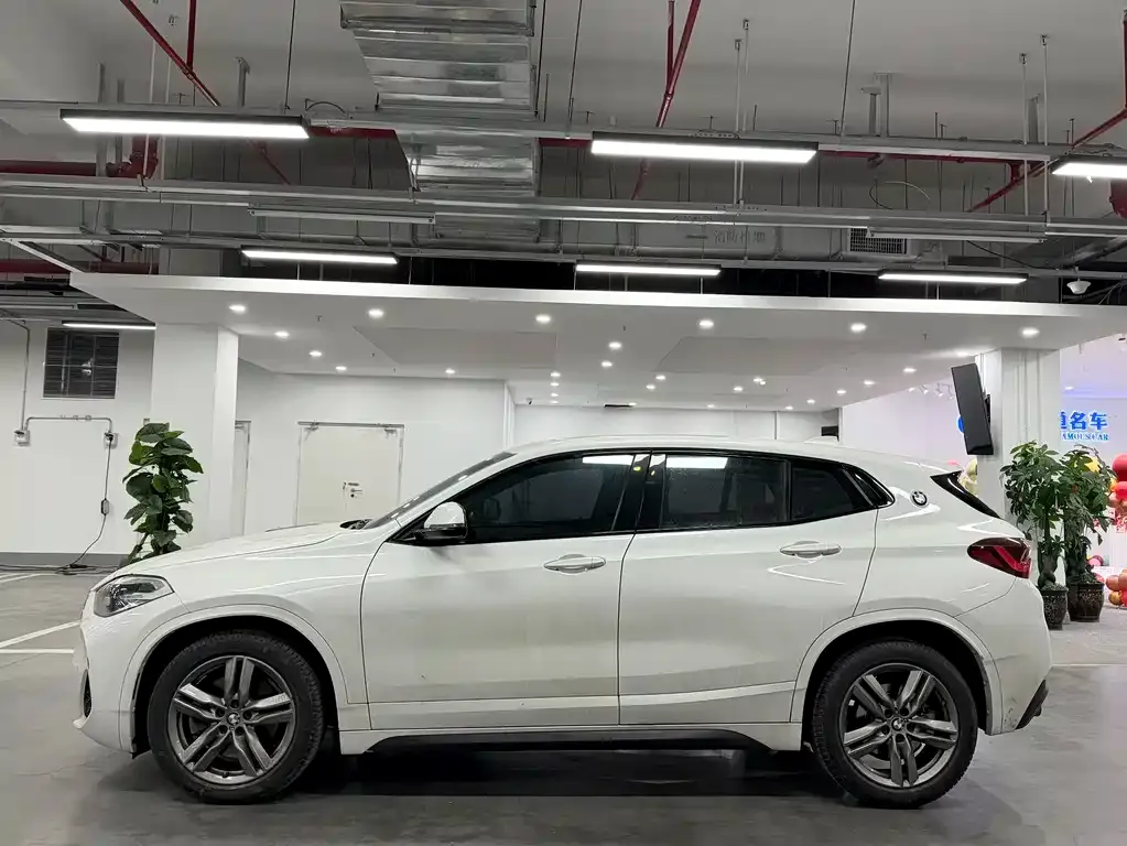 BMW X2 2022 из CN, фото 10