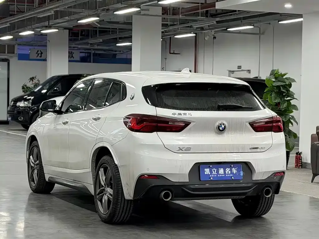 BMW X2 2022 из CN, фото 6