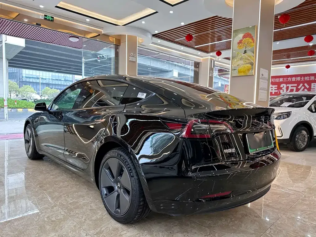 Tesla Model 3 2022 из CN, фото 9