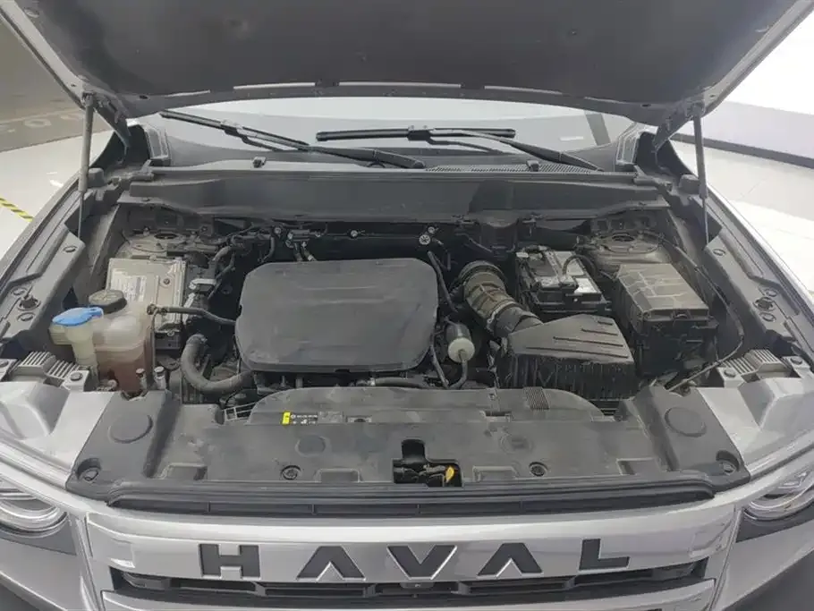 Haval Big Dog 2023 из CN, фото 5