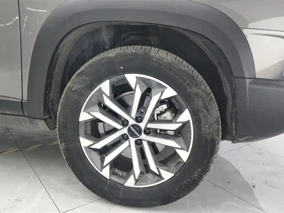 Haval Big Dog 2023 из CN, фото 4