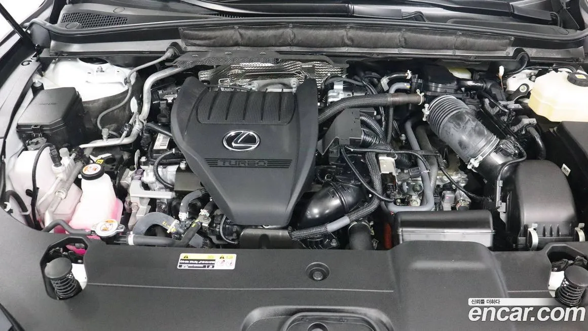 Lexus RX 2024 из KR, фото 10