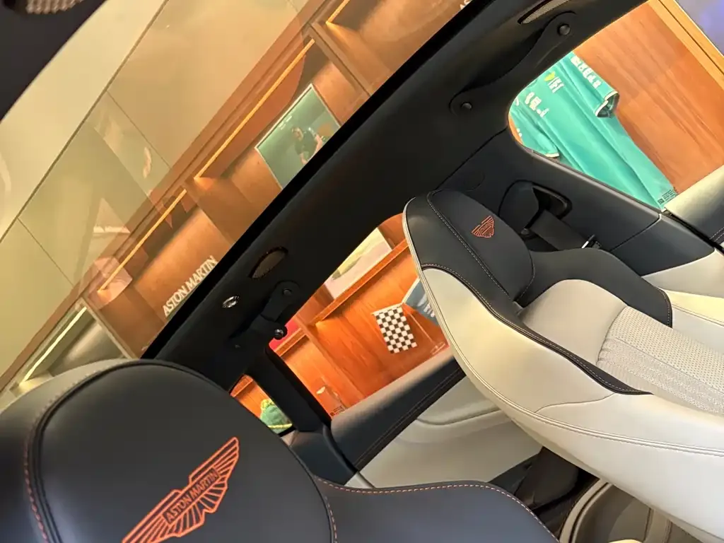 Aston Martin DBX 2025 из CN, фото 8