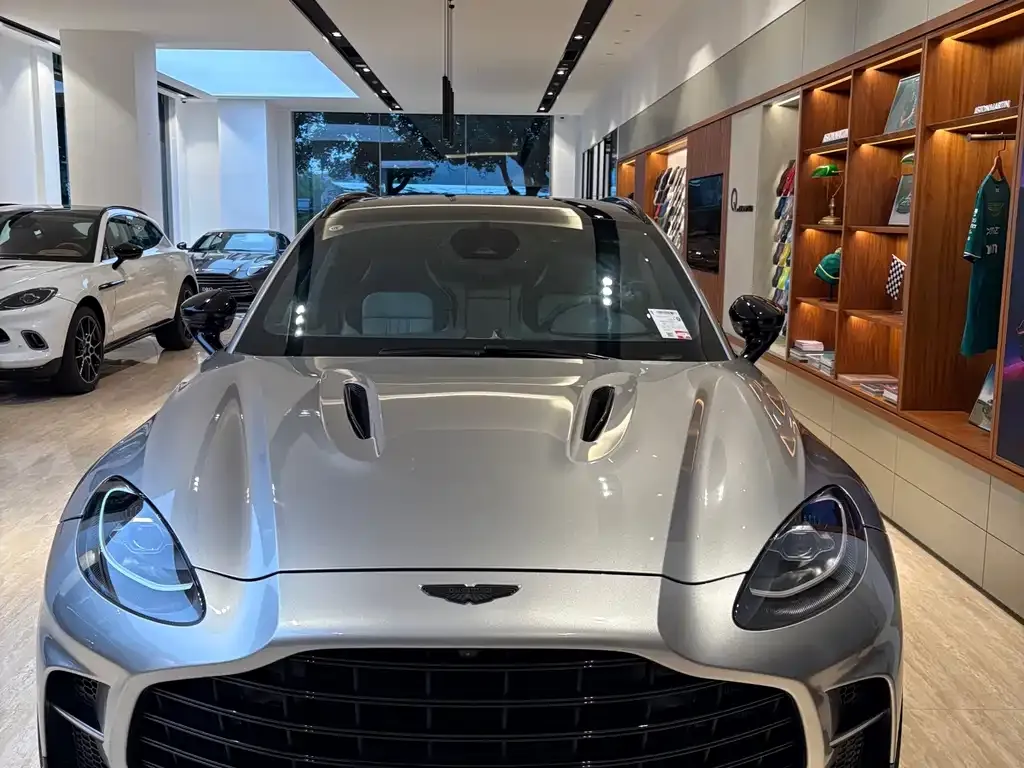 Aston Martin DBX 2025 из CN, фото 10