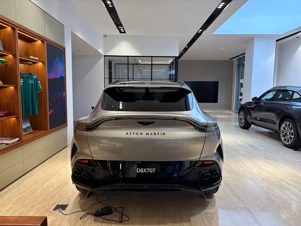 Aston Martin DBX 2025 из CN, фото 9