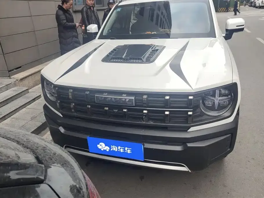 Haval Cool Dog 2022 из CN, фото 6