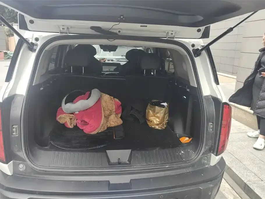 Haval Cool Dog 2022 из CN, фото 5