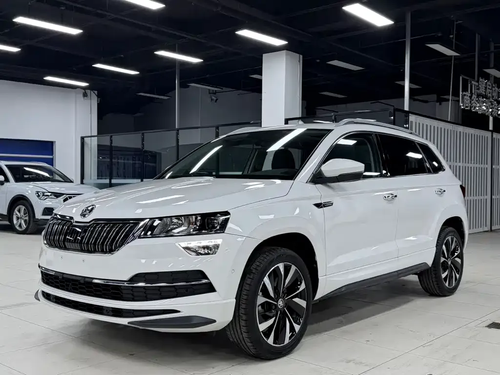 Skoda Karoq — фото 1
