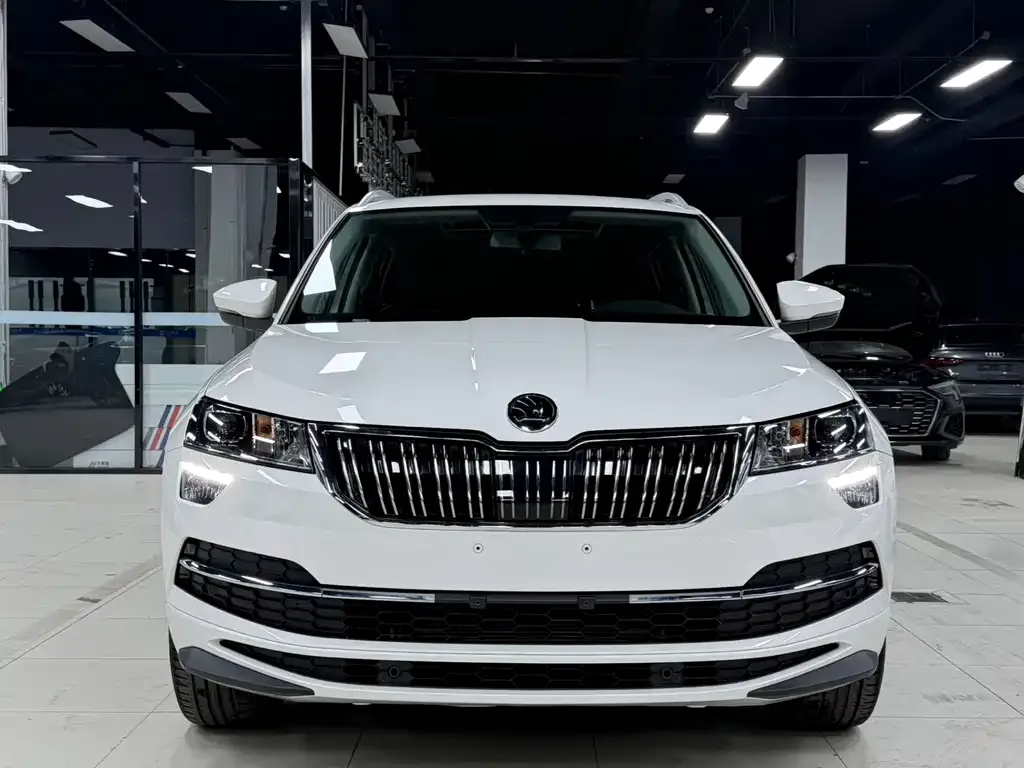 Skoda Karoq — фото 2