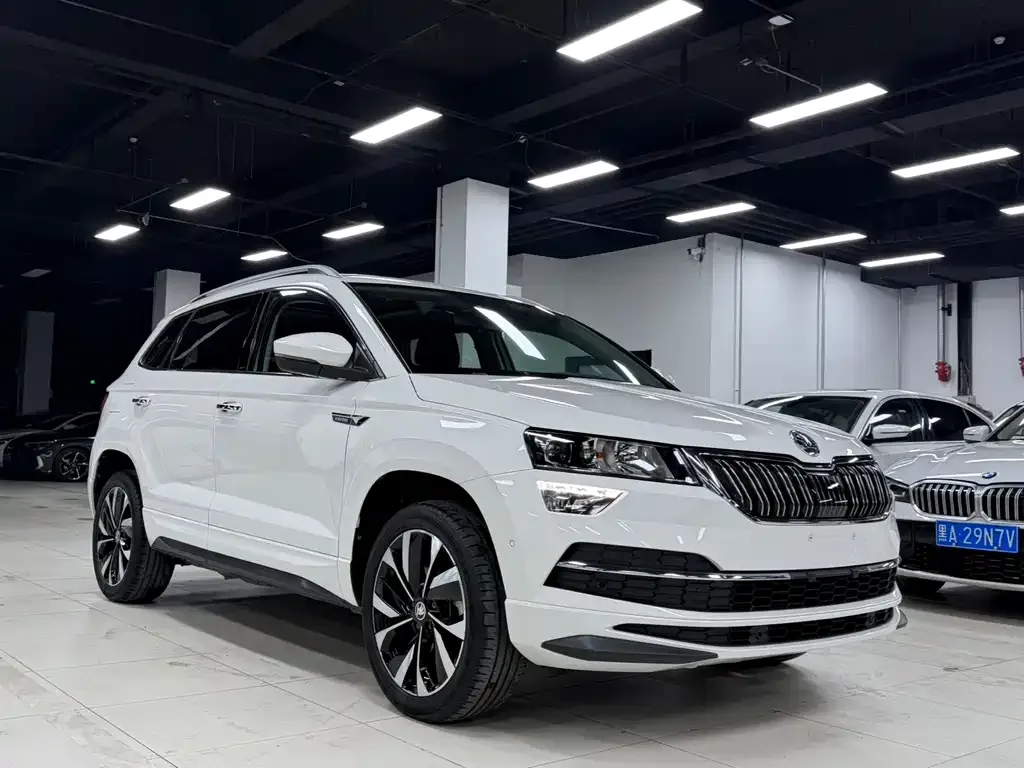 Skoda Karoq — фото 4