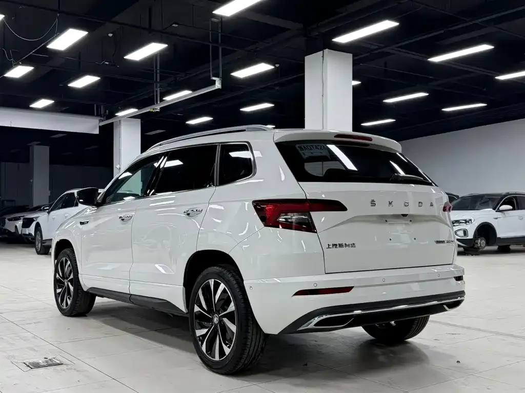 Skoda Karoq — фото 10