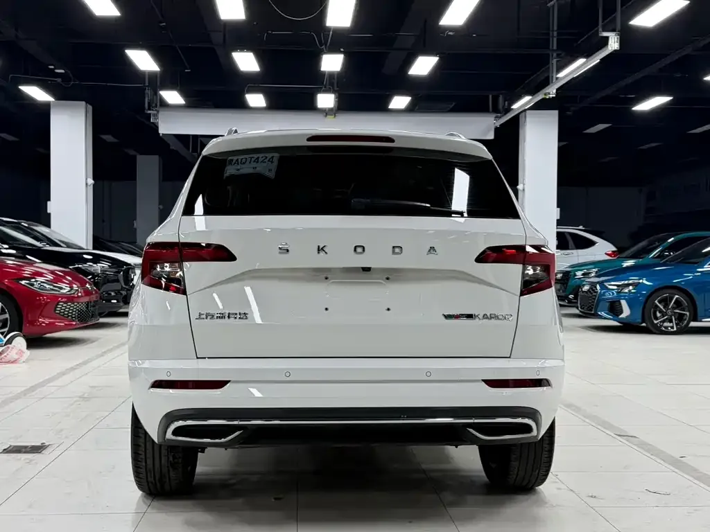 Skoda Karoq — фото 5