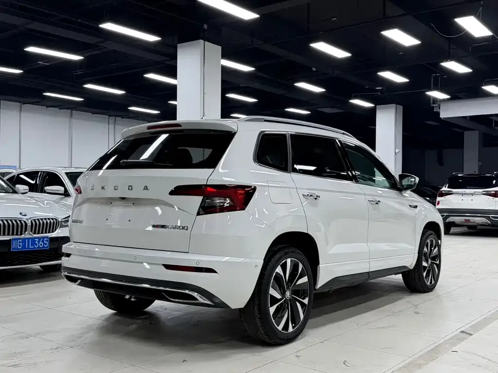Skoda Karoq — фото 9