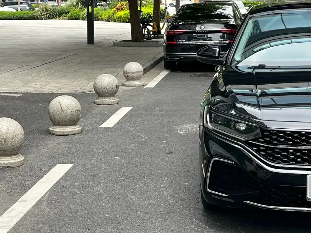 Volkswagen Passat 2024 из CN, фото 4