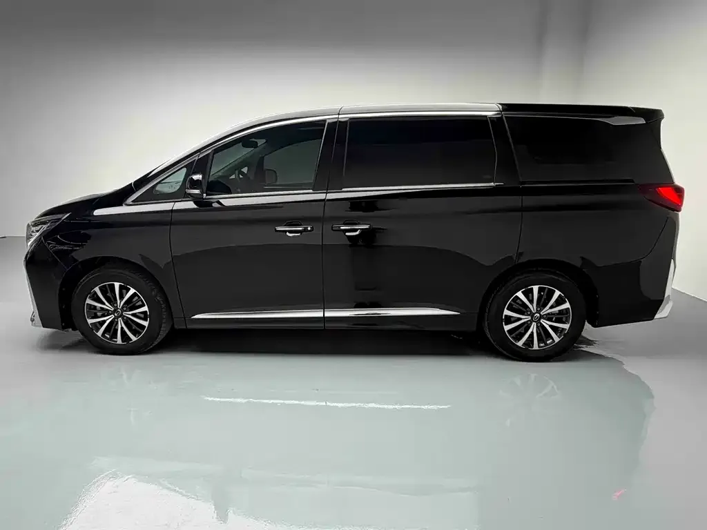 GAC Motor Trumpchi M8 — фото 3
