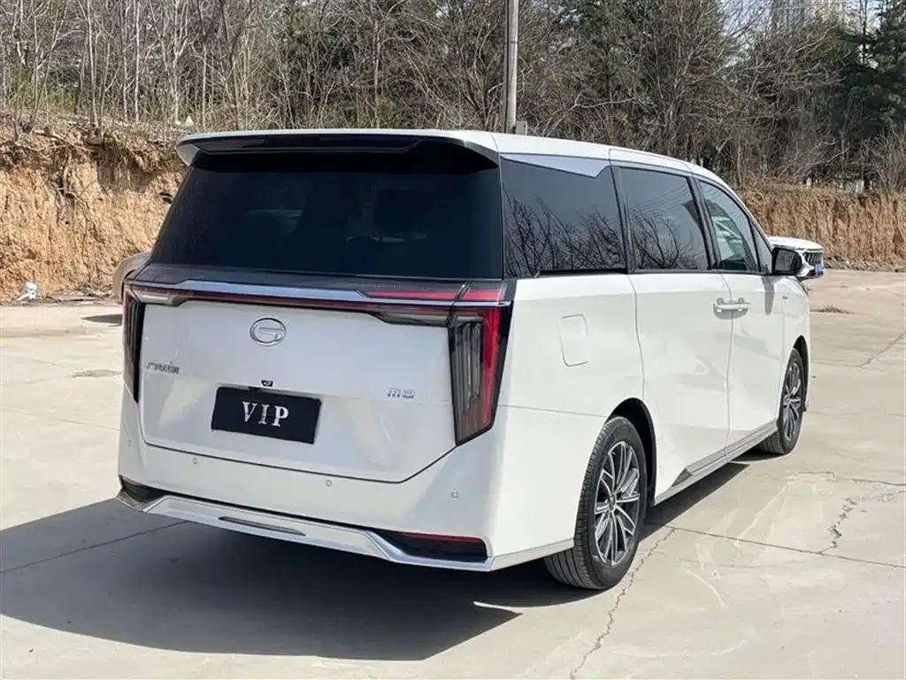 GAC Motor Trumpchi M8 2024 из CN, фото 8