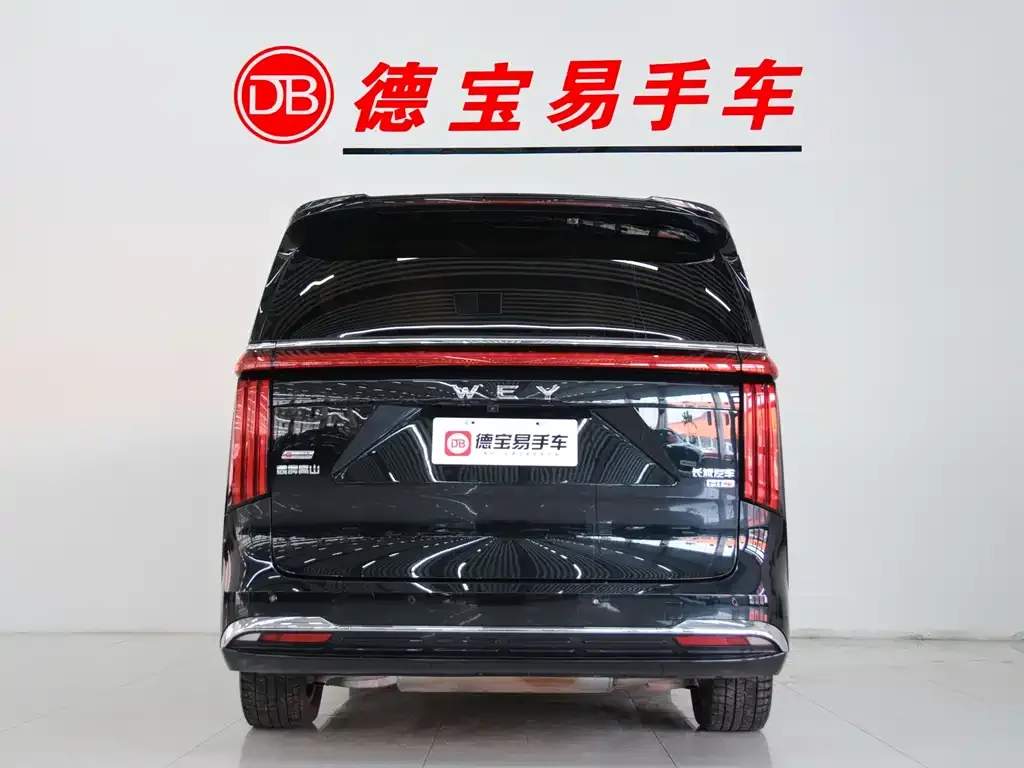 Wey Gaoshan 2024 из CN, фото 6