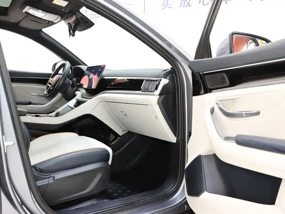 BYD PLUS New Energy — фото 8