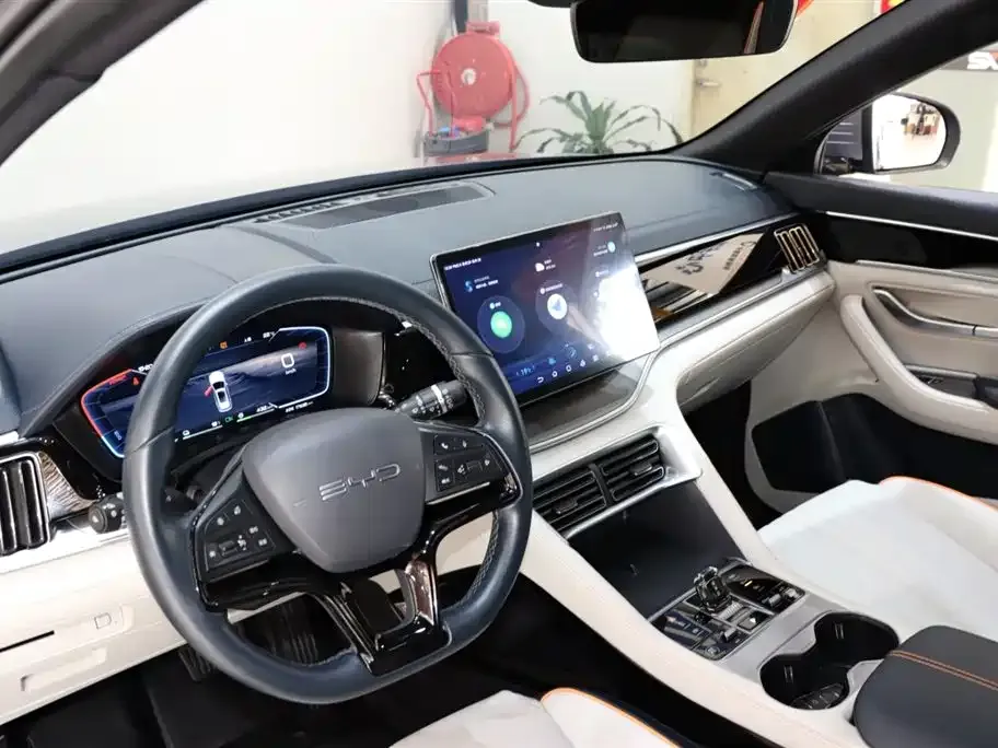 BYD PLUS New Energy — фото 4