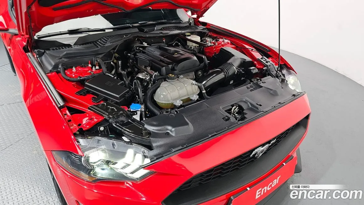 Ford Mustang 2023 из KR, фото 3