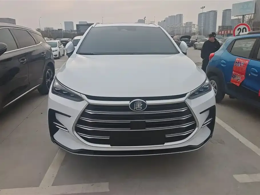 BYD Tang New Energy — фото 10