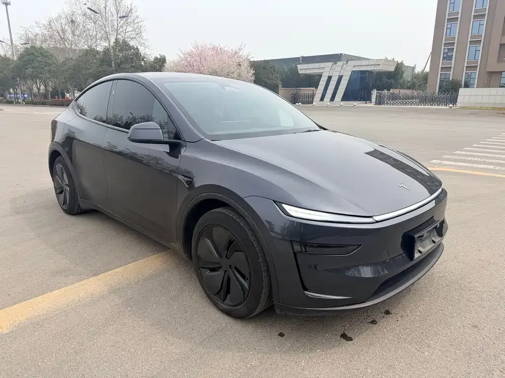 Tesla Model Y — фото 5