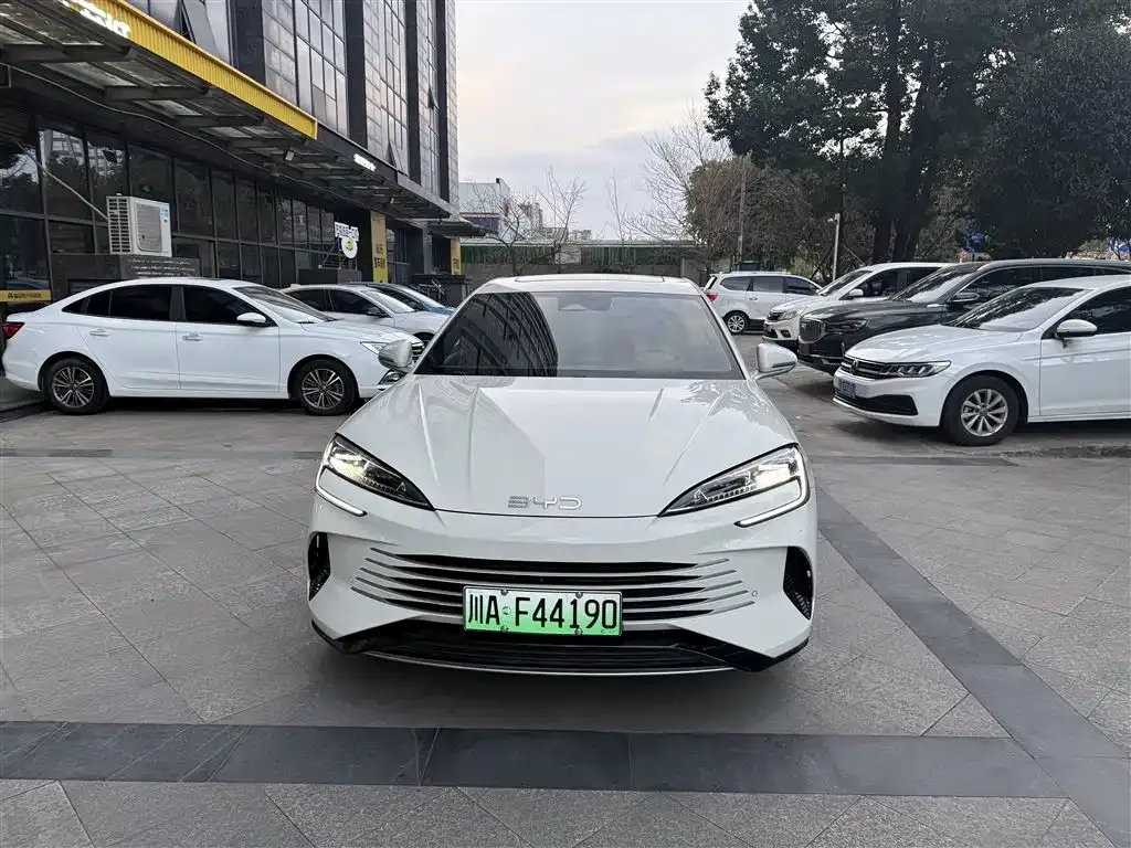 BYD Seal 07 DM-i 2024 из CN, фото 2