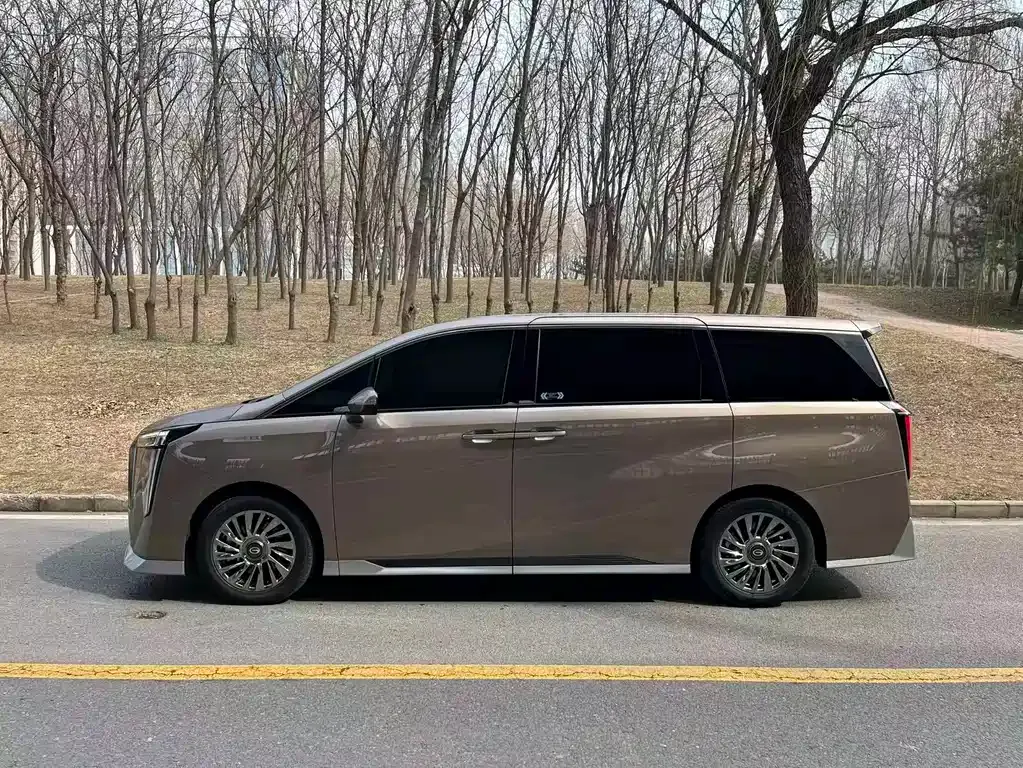 GAC Motor Trumpchi M8 2024 из CN, фото 9