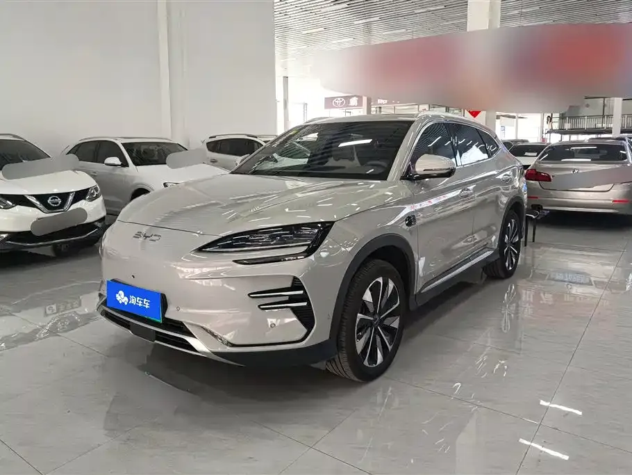 BYD PLUS New Energy — фото 1