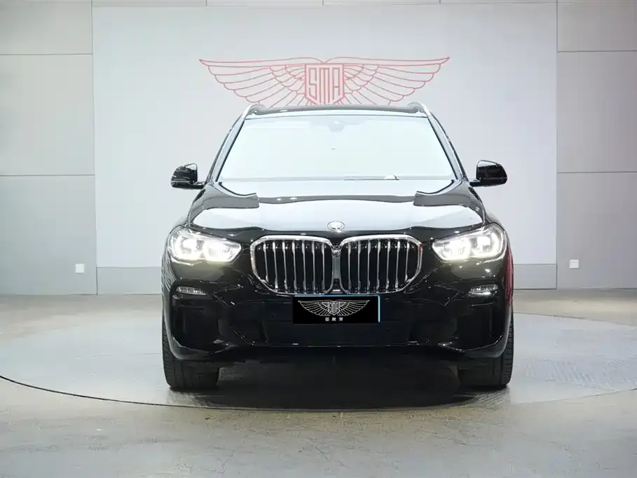 BMW X5 (Import) 2021 из CN, фото 9
