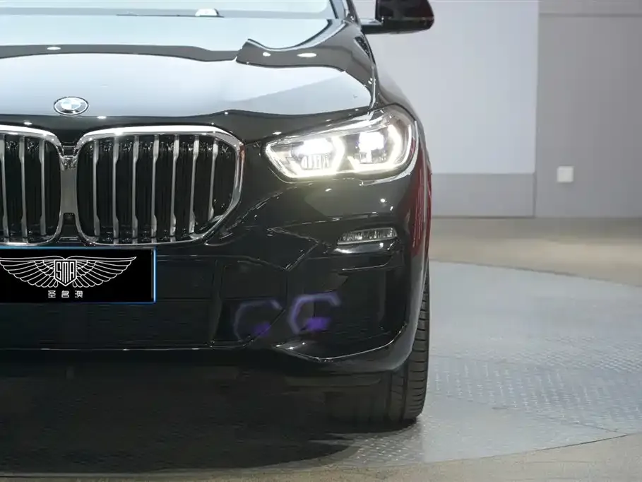 BMW X5 (Import) 2021 из CN, фото 7