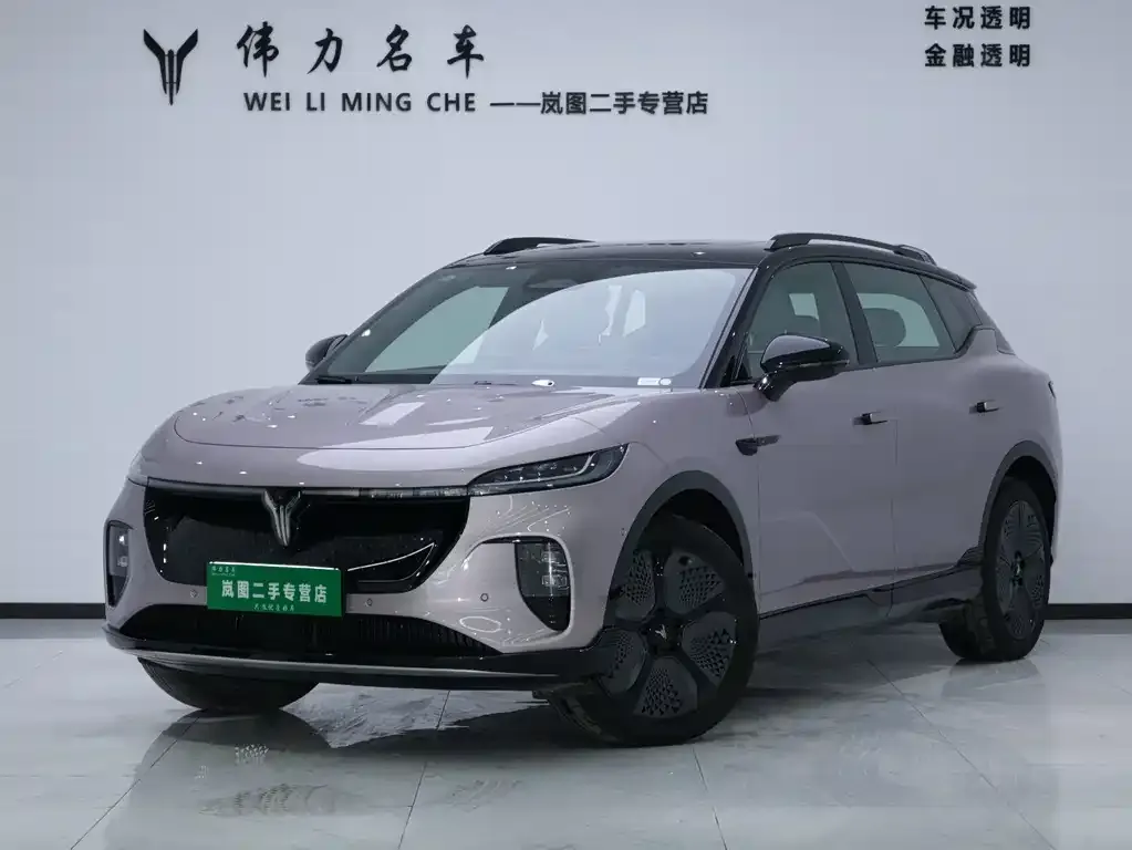 VOYAH Zhiyin 2025 из CN, фото 1