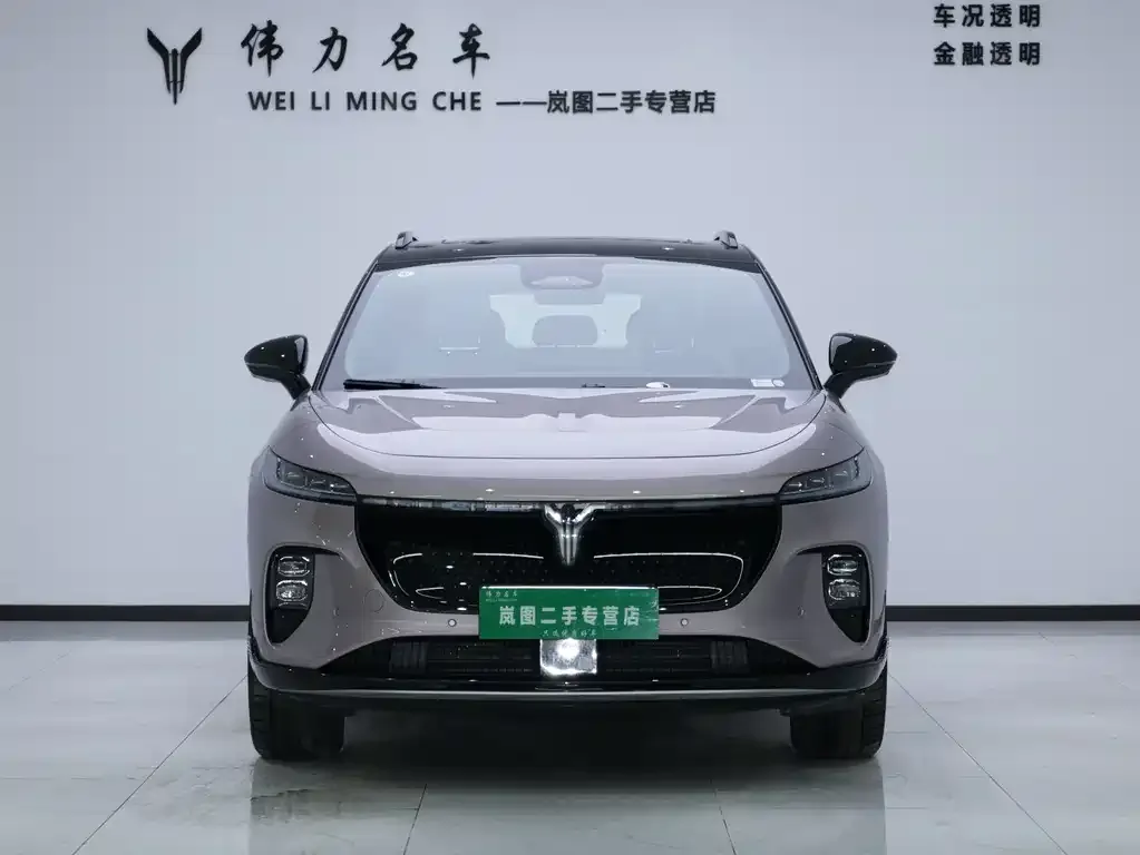 VOYAH Zhiyin 2025 из CN, фото 2