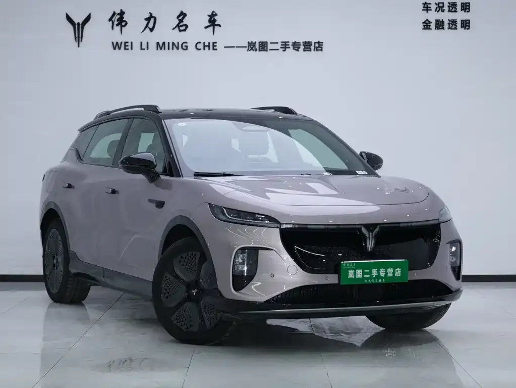 VOYAH Zhiyin 2025 из CN, фото 4