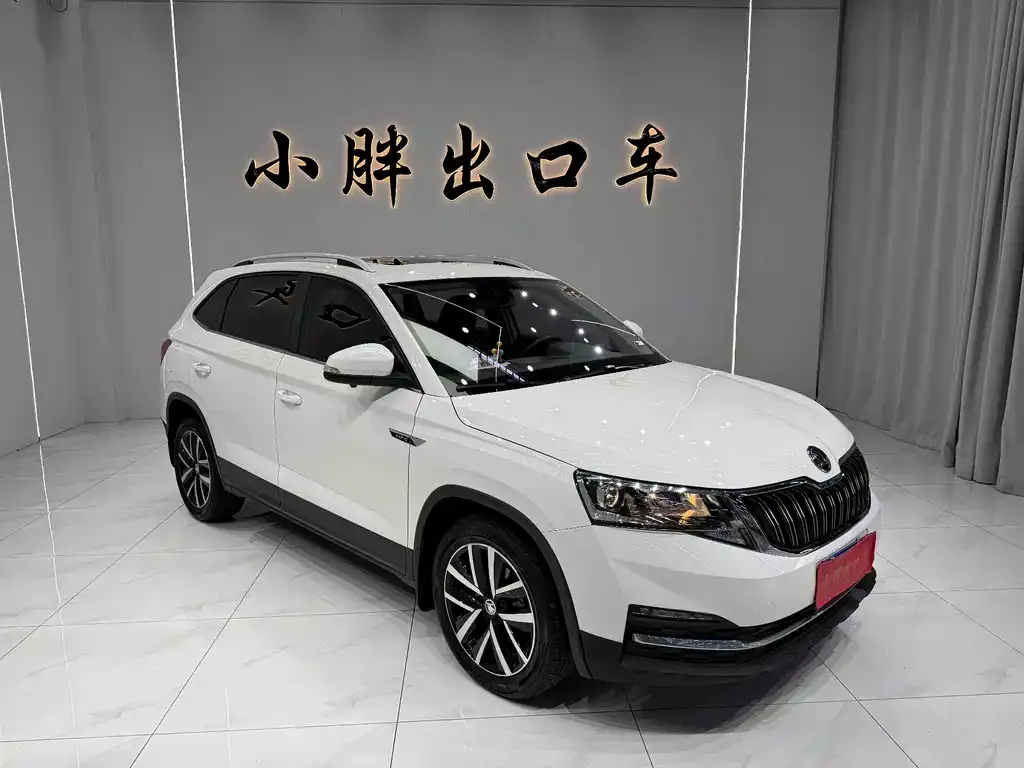 Skoda Kamiq 2021 из CN, фото 10