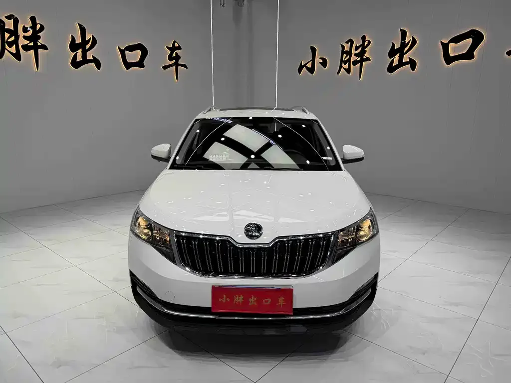 Skoda Kamiq 2021 из CN, фото 8