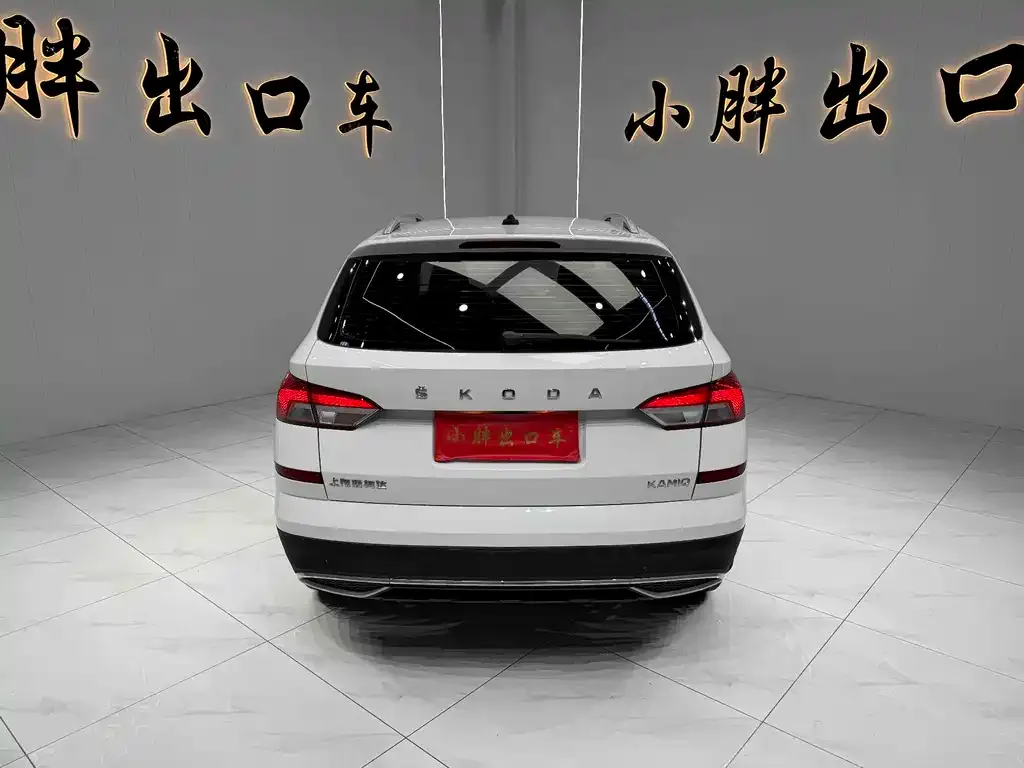 Skoda Kamiq 2021 из CN, фото 4