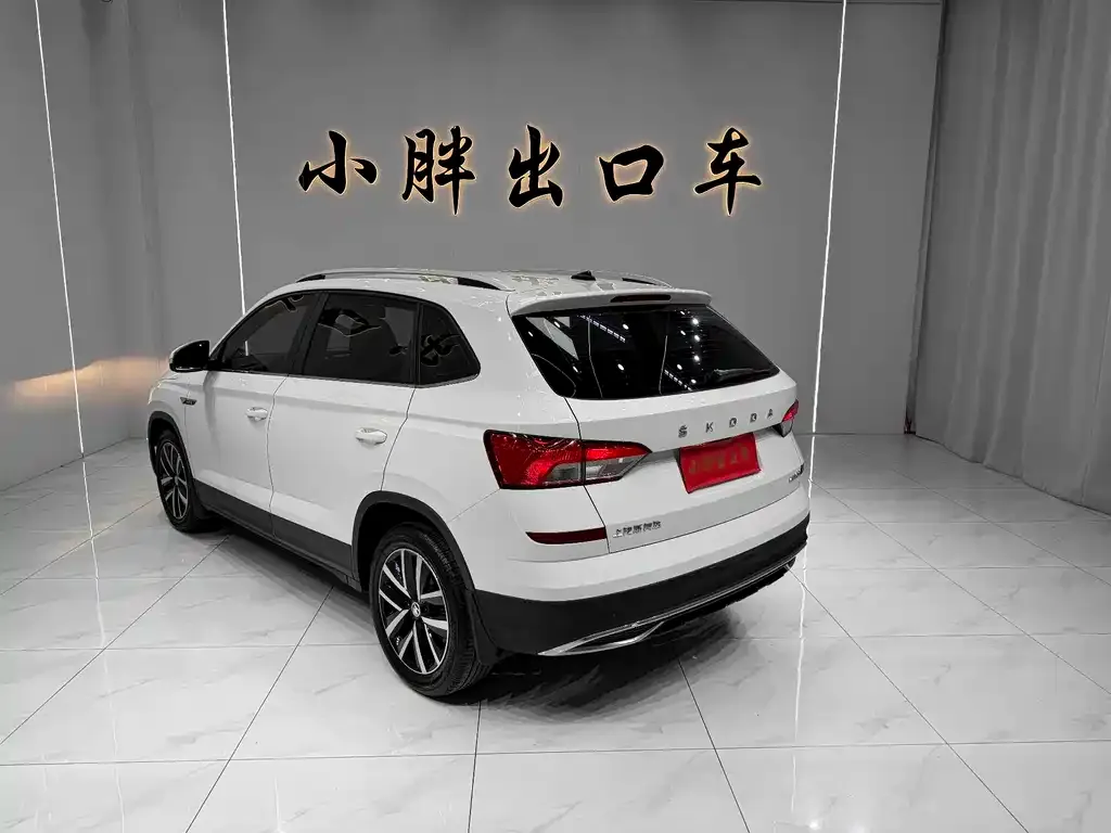 Skoda Kamiq 2021 из CN, фото 3