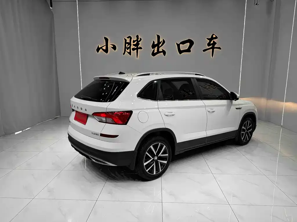 Skoda Kamiq 2021 из CN, фото 2