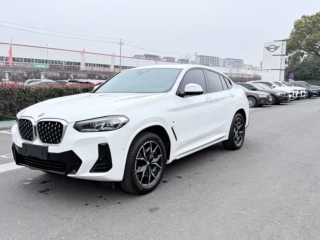 BMW X4 — фото 1